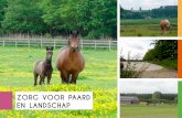 zorg voor paard en - Alfresco...PDPO1-project ‘Paardekracht, krachtig landschap’ de paardensector in Oost-Vlaanderen beter in kaart te brengen en deze inspirerende brochure op