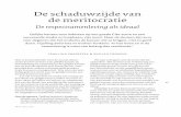 De schaduwzijde van de meritocratie - Evelien Tonkens · de Jong in zijn proefschrift Kapot Moeilijk over delinquent gedrag onder jongens van Marok-kaanse afkomst in Amsterdam West.