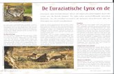 catventure.nlcatventure.nl/wp-content/uploads/2016/07/Scan-artikel-eur-en-ib-lynx... · Noorwegen en Sloven worden hun prooi- en 00k regelmatig gestolen door jagers die hem dan voor