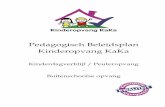 Pedagogisch beleidsplan Kinderopvang KaKa PeBe.pdf · Pedagogisch Beleidsplan Kinderopvang KaKa 4 Voorwoord Kinderopvang KaKa is een professionele kinderopvangorganisatie voor kinderen