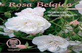 102812 Rosa Belgica Broch 110 2014 Belgica Broch.pdf · van oorsprong als onkruid beschouwd. In onze streken groeit ze slecht omdat ze veel zon en droge grond vraagt, bovendien is