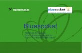 Bluesocket - Новые Системы Телеком · – Aligned product and sales channels (i.e. distribution/partners) Контроль доступа – Fully Integrated Check