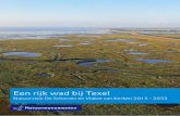 Een rijk wad bij Texel - Cloudinary...nu kennen, is ontstaan tijdens de laatste ijstijd. In die tijd, zo’n tienduizend jaar geleden, was de zeespiegel nog ruim drie meter lager dan