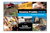 County Profile 2013 - Pulaski County - CP60 · PULASKI COUNTY PROFILE 2013 Wayne Miller, Professor Thai Nguyen, Intern Arkansas Ashley Baxter Benton Boone Bradley Calhoun Carroll