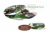 veldwerk bos 14-16 jaar jaar handleiding - Vlaanderen · NMEC De Helix Veldwerk bos: 14-16 jaar (handleiding) 2 Handleiding Veldwerk bos Doelgroep 14 - 16 jaar Periode Bij voorkeur