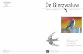 De Gierzwaluw - Vogels in Amsterdam...Merijn van Leeuwen, 06-41058552, merijnvanleeuwen@yahoo.com Zo 8 oktober: Pelagische tocht Noordzee bootexcursie In de herfst op de Noordzee:
