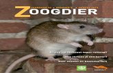 NUMMER 3 - Homepage | De Zoogdiervereniging...Figuur 3 Het aantal gevangen bos- en rosse woelmuizen uitgezet tegen de gemiddelde worpgrootte in de periode 2008-2012 op de Veluwezoom.