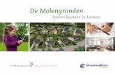 De Molengronden - Nieuwbouw in Lochem · u de nieuwe tekening met de bijbehorende begroting. Zo weet u altijd goed waar u financieel aan toe bent en kunt u een aanvang maken met het