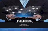 REDES - via.ufsc.brvia.ufsc.br/wp-content/uploads/2018/05/e-book-Redes.pdf · Redes burocráticas simétricas: são reguladas por contratos for-mais com cláusulas que estabelecem