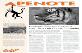 Tijgers Diva (foto) en Patou zijn nu in AAP Primadomus ... 106.pdf · Toen onze dierenarts de dieren uit-voerig onderzocht, werd duidelijk dat ook aan de gezondheid en ver-zorging