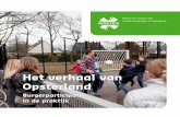 Burgerparticipatie in de praktijk · interactief tot stand komt. In de gemeente Opsterland, een plattelandsgemeente van zestien dorpen, werd het LSB vertaald in het zoge-naamde Dorpenbeleid.