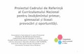 Proiectul Cadrului de Referință - ipp.mdipp.md/old/public/files/.../Cadrul_National_de_Referinta_-_Prezentare… · Proiectul Cadrului de Referință al Curriculumului Național