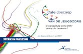 VAN DE JEUGDZORG 2017 Gent b.pdf · De jeugdhulp anno 2017 een grote bouwwerf Jan Bosmans Gent,16 juni 2017. 2 ... jeugdhulp –online-jeugdhulp –intersectorale afstemming RTH –