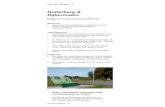 Holterberg & Dijkermaten - Wereldtijdpad - Tour de... · Informatiepaneel ‘Media / vervoer’ (naast jaarpaal 1960) Wat is voor jou de top-3 van ontwikkelingen die het leven van