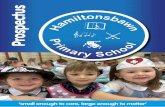 a m i l t o nsb a w H n l i m · o n s b a w n P r i m a r y S c h o o l In Hamiltonsbawn Primary School, the curriculum involves a wide range of learning experiences offered in terms