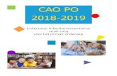 CAO PO 2018-2019 Definitieve versie€¦ · 4 Colofon CAO PO 2018-2019 Collectieve Arbeidsvoorwaarden voor het primair onderwijs Uitgave PO-Raad Utrecht, 19 juli 2018 Versie: februari
