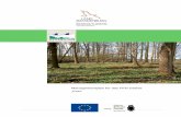 Managementplan für das FFH-Gebiet „Exin“ › n › natura2000 › managementplanu... · PDF file 2020-01-10 · Managementplanung Natura 2000 für das FFH-Gebiet 539 „Exin“