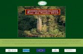 LES FORÊTS DU BASSIN DU CONGO État des Forêts 2010€¦ · el impulso de los países de la COMIFAC, extenderla a REDD, teniendo en cuenta también la degradación de los bosques.