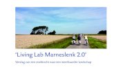 ‘Living Lab Marneslenk 2.0’ - Waddenacademie...3 Organisatie: Bureau Peter de Ruyter, landschapsarchitectuur Kenniscentrum Landschap, Rijksuniversiteit Groningen Stichting Nieuw