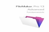 FileMaker Pro 13 Advanced · 1 U moet zelf de eindgebruiker alle technische ondersteuning aanbieden. 1 U moet een “Over…”-lay-out aanbieden, met vermelding van uw naam en adres