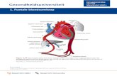 1. Foetale bloedsomloop - Gezondheidsuniversiteit · 1. Foetale bloedsomloop Afbeelding 1: De foetale bloedsomloop Bronvermelding 1. Sadler, T.W. (2012) Langman’smedical embryology.