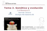 Tema 3. Genética y evolucióndpbiologia.weebly.com › uploads › 2 › 1 › 5 › 5 › 21553524 › gtp_t3.gen… · Tema 3. Genética y evolución 3.4 Herencia II Idea Fundamental: