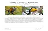Colombia 25 oktober 11 november 2020 fågelresa med Roger … · 2019-10-09 · Chicaque NP 2. Coello - Magdalena Valley Dry Forest- 3. Canon Combeima, dpto. Tolima 4. La Victoria--Area