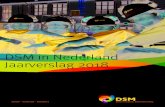 DSM in Nederland Jaarverslag 2018 › content › dam › dsm › dsmnl › nl_NL › ... · Nederland verder verstevigd in de DSM visie voor Nederland ‘Bright connecting with purpose’