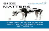 SIZE MATTERS - KGOM: Online Marketing Bureau Voor Winnende ... › wp-content › uploads › karelgeenen.nl-Whitepaper-T… · Twitter is steeds visueler aan het worden, en uit onderzoek