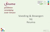 Voeding & Bewegen bij Reuma - Reuma Patiënten Vereniging · Lezing RPV Zuid-Veluwe 2018-10-16 dr. Jan Stolk, reumatoloog 1. Algemene zaken bij oa. reumatoïde artritis 2. Wat staat