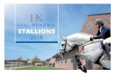 STALLIONS - Stal Hendrix · Stal Hendrix’s stallion show attracts more and more visitors every year. The annually recurring event is known for its professional way of presenting