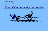 De Waterdroppels - De Watertrappers · In bijna Olympische ambiance vanwege het enorme PSV Tongelreep zwemstadion en het toegestroomde DWT publiek zwom Corine naar goud op de 100
