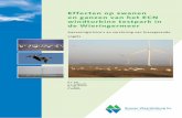 Effecten op zwanen en ganzen van het ECN windturbine ... · Foto’s voorkaft: Wim Tijsen (grote foto, vlucht ganzen voor turbine), Hein Prinsen (kleine zwanen op veld), Luc Hoogenstein