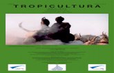 TROPICULTURA · 65 TROPICULTURA, 2007, 25, 2, 65-69ARTICLES ORIGINAUX OORSPRONKELIJKE ARTIKELS ORIGINAL ARTICLES ARTICULOS ORIGINALES Résumé La baisse de la fertilité des sols