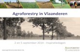Agroforestry in Vlaanderen - Agroforestry Vlaanderen · Agroforestry in Vlaanderen 2 en 5 september 2014 - Inspiratiedagen . Agroforestry (boslandbouw) = telen van landbouwgewassen