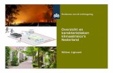 Overzicht en karakteristieken klimaatrisico s Nederland · Overzicht aandachtsvelden voor NAS Klimaat-effecten Zeespiegelstijging Pieken in rivierafvoeren (hoog en laag) Pieken in