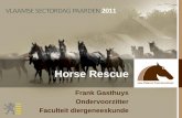 Horse Rescue · 2019-03-18 · stappen. De amazone "it Anderlechtbleefongedeerd. Het dier hield aan het incident een wonde over aan hetachter- en.(CVH) Foto . bmndweerschool Oersey