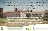 EFFECT OF BIOCYCLIC HUMUS SOIL ON YIELD AND QUALITY ... · EFFECT OF BIOCYCLIC HUMUS SOIL ON YIELD AND QUALITY PARAMETERS OF SWEET POTATO (Ipomoea batatas L.)Lydia Dorothea EISENBACH,