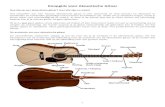 Koopgids voor Akoestische Gitaar · 2015-01-08 · De anatomie van een akoestische gitaar De verschillende vaktermen vliegen je om de oren als je je verdiept in de akoestische gitaar.