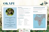 OKAPI - Antwerp ZooOkapi’s zijn solitaire dagdieren. Wijfjes hebben een territorium dat tot 6,5 km² groot is; die van de mannetjes zijn groter, tot 13 km². De mannetjes trekken