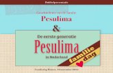 De eerste generatie Pesulima · Deze presentatie en de website geven de resultaten van dit onderzoek weer. Erik Gigengack, Huizen, 10 november 2012. Van Bandung naar Nederland Greta