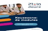 Keuzezone: de modules - Plein Joure · Daarnaast kun je je misschien voorstellen dat het handig is dat je iets weet van ICT. Dat komt de rest van je schooltijd (en misschien wel de