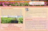Gerblabla · 2019-05-09 · Gerblabla Het is voorjaar, het gras kan buiten weer gemaaid worden dat houdt in dat de productie van de bloemen snel omhoog gaat. Het eerst kwartaal is