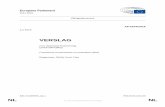 VERSLAG · overzichten en aanverwante verslagen van bepaalde ondernemingsvormen, tot wijziging van Richtlijn 2006/43/EG van het Europees Parlement en de Raad en tot intrekking van