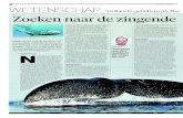 ZATERDAG MEI WETENSCHAP ‘Hollands’ getinte expeditie ... · de walvisvaart leefden er rond Spitsbergen naar schatting 50.000 ijswalvissen. Tijdens het monopolie van Nederland