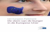 Het Europees Parlement: de stem van de burgers in de ... › belgium › resource › static › files › brochure… · ideeën en stromingen binnen de Europese politiek krijgen
