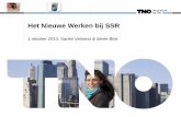 1 oktober 2013, Sarike Verbiest & Merle Blok - SSR · 2017-05-15 · Per december 2012 is hier effectief invulling aan gegeven en inmiddels heeft SSR de ... audio- en video conferencing