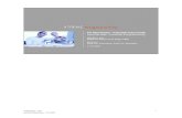 XP 1.3 to PDF - hs-mannheim.deservices.informatik.hs-mannheim.de/~knauber/MSc-MSI-05/A-02.pdf · XP als agile Methode traditionelle Vorgehensmodelle Ingenieurwissenschaften „Brücke