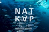 NATUURLIJK KAPITAAL - IUCN NL · Van het water uit de kraan, de energie die wordt gebruikt en het land waarop het gebouw staat, tot alle ketens van grondstoffen en (half) producten