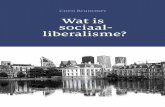Coen Brummer Wat is sociaal- liberalisme? › content › uploads... · Coen Brummer · Longread: Wat is sociaal-liberalisme? 3 De D66’ers die in de avond van 21 november 1998 na